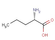 <span class='lighter'>L-</span>正缬<span class='lighter'>氨酸</span>
