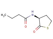 N-BUTYRYL-L-HOMOCYSTEINE THIOLACTONE