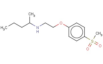 [2-(4-METHANESULFONYLPHENOXY)ETHYL](PENTAN-2-YL)AMINE