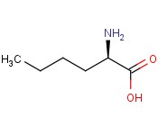 <span class='lighter'>D-</span>正<span class='lighter'>亮氨酸</span>
