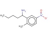 1-(2-METHYL-5-NITROPHENYL)PENTYLAMINE
