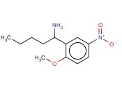 1-(2-METHOXY-5-NITROPHENYL)PENTYLAMINE