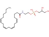 GLYCEROPHOSPHO-N-ARACHIDONOYL ETHANOLAMINE