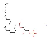 20:4 LYSO <span class='lighter'>PA</span> AMMONIUM SALT