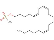 ARACHIDONYL METHANE SULFATE