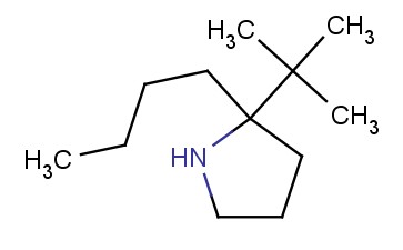2-BUTYL-2-TERT-<span class='lighter'>BUTYLPYRROLIDINE</span>