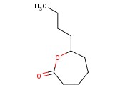 ε-癸<span class='lighter'>内酯</span>