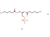 06:0 <span class='lighter'>PA</span> SODIUM SALT