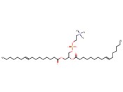 1,2-DIPALMITELAIDOYL-SN-GLYCERO-3-PHOSPHOCHOLINE
