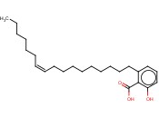 银杏酸(C<span class='lighter'>17</span>:1),分析标准品,≥98%