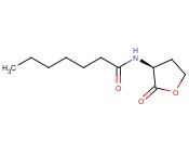 N-HEPTANOYL-L-HOMOSERINE LACTONE