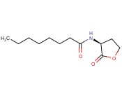 N-OCTANOYL-L-HOMOSERINE LACTONE