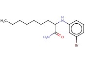 2-[(<span class='lighter'>3-BROMOPHENYL</span>)AMINO]NONANAMIDE