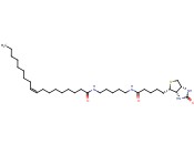 9Z-OCTADECNOYL-N'-BIOTINOYL-1,5-DIAMINOPENTANE