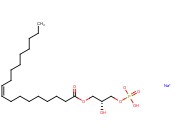 <span class='lighter'>18</span>:1 <span class='lighter'>LYSO</span> <span class='lighter'>PA</span> <span class='lighter'>SODIUM</span> SALT
