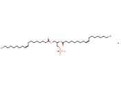 18:1 <span class='lighter'>PA</span> SODIUM SALT