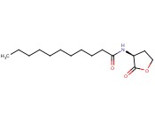 N-UNDECANOYL-L-HOMOSERINE LACTONE