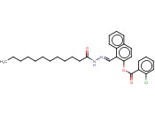 1-(2-DODECANOYLCARBOHYDRAZONOYL)-2-NAPHTHYL <span class='lighter'>2-CHLOROBENZOATE</span>