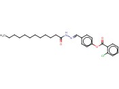 4-(2-DODECANOYLCARBOHYDRAZONOYL)PHENYL <span class='lighter'>2-CHLOROBENZOATE</span>