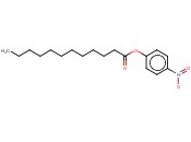 月桂酸4-<span class='lighter'>硝基苯</span><span class='lighter'>酯</span>