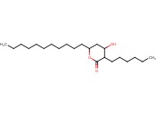 ORLISTAT <span class='lighter'>INTERMEDIATE</span>