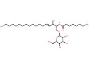 N-OCTANOYL-BETA-D-GALACTOSYLCERAMIDE