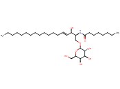 C8 GALACTOSYL(BETA) CERAMIDE (D18:1/8:0)