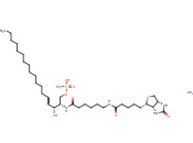 N-BIOTIN CERAMIDE 1-PHOSPHATE