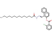 1-(2-TETRADECANOYLCARBOHYDRAZONOYL)-2-NAPHTHYL <span class='lighter'>2-CHLOROBENZOATE</span>