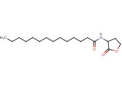 N-四癸酰-DL-<span class='lighter'>高丝氨酸</span>内酯