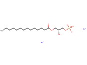 14:0 LYSO PA SODIUM SALT