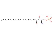4-HYDROXYSPHINGANINE-1-PHOSPHATE (SACCHAROMYCES CEREVISIAE)