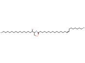 C24:1 DIHYDROCERAMIDE (D18:0/24:1(15Z))