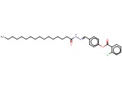 4-(2-PALMITOYLCARBOHYDRAZONOYL)PHENYL <span class='lighter'>2-CHLOROBENZOATE</span>