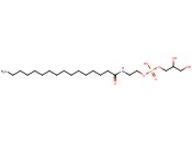 GLYCEROPHOSPHO-N-PALMITOYL ETHANOLAMINE