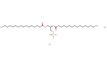 <span class='lighter'>3-SN-PHOSPHATIDIC</span> ACID, <span class='lighter'>1,2-DIPALMITOYL</span> <span class='lighter'>MONOSODIUM</span> SALT