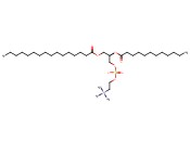 1-PALMITOYL-2-LAUROYL-SN-GLYCERO-3-PHOSPHOCHOLINE