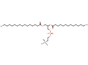 1-PALMITOYL-2-MYRISTOYL-SN-GLYCERO-3-PHOSPHOCHOLINE