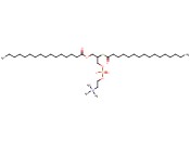 1-O-HEXADECANOYL-2-THIO-R-(HEXADECANOYL)-SN-GLYCEROL-3-PHOSPHOCHOLINE