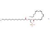16:0-20:4 <span class='lighter'>PA</span> SODIUM SALT