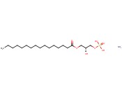 C16 LYSO <span class='lighter'>PA</span> AMMONIUM SALT