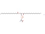 1,2-二软脂酰基-sn-甘油-3-磷酸-<span class='lighter'>L-</span><span class='lighter'>丝氨酸</span>钠盐