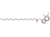 5-溴-4-<span class='lighter'>氯</span>-3-<span class='lighter'>吲哚</span>棕榈
