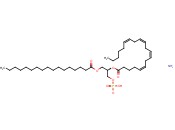 17:0-20:4 <span class='lighter'>PA</span> AMMONIUM SALT