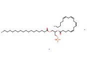 18:0-20:4 <span class='lighter'>PA</span> SODIUM SALT