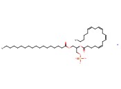 16:0-22:6 <span class='lighter'>PA</span> SODIUM SALT