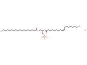 18:0-18:1 <span class='lighter'>PA</span> SODIUM SALT