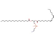 1-STEAROYL-2-LINOLEOYL-SN-GLYCERO-3-PHOSPHOETHANOLAMINE