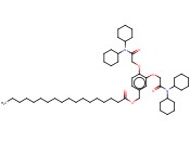 SODIUM IONOPHORE V