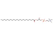 1-BEHENOYL-2-HYDROXY-SN-GLYCERO-3-PHOSPHOCHOLINE